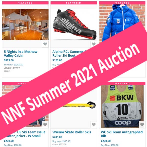 Feature image for The NNF Online Auction is on!