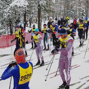 Feature image for VASA Race Director opening