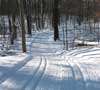Feature image for Grooming is everything at Huron Meadows