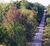 Feature image for 7 miles of Pere Marquette Trail closing for repaving