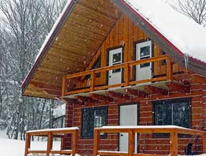 Feature image for Rent Norm's cabin!