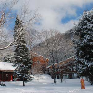 Feature image for Stokely Creek to remain closed this winter