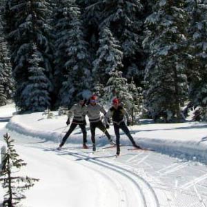 Feature image for A training recommendation for Master Skiers specifically