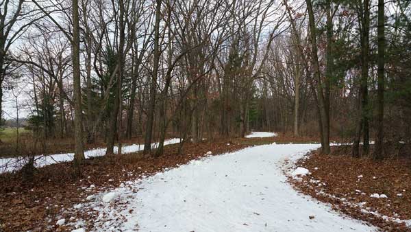 Buck's Run man-made snow cross county ski trail