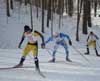 Smith and Fjeldheim win chilly Nubs Nob Freestyle