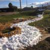 Course being prepped for 4th Annual First XC Ski Race