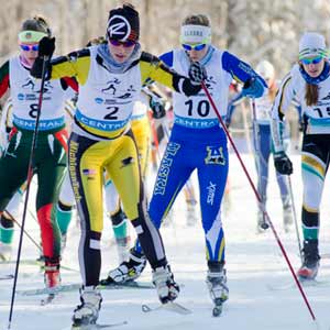 Volunteers sought for US Nationals