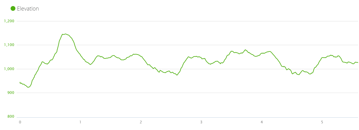 Vertical profile of 2016 Boyne Grinder cross country ski race