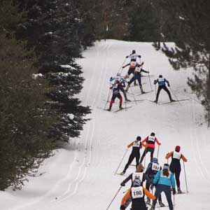 Volunteers needed for Forbush Freestyle