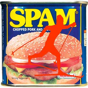 Tour de Spam Nordic Ski Stage & Night Race