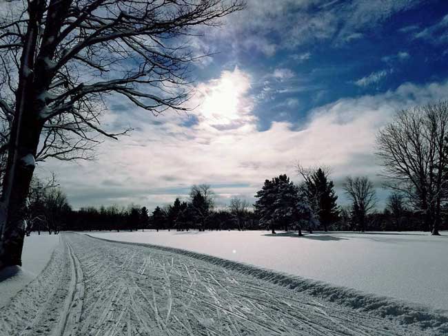 Lakes of the North grooming