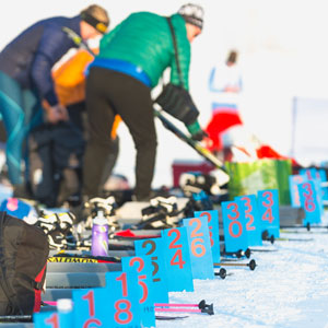 Great Bear Chase Countdown