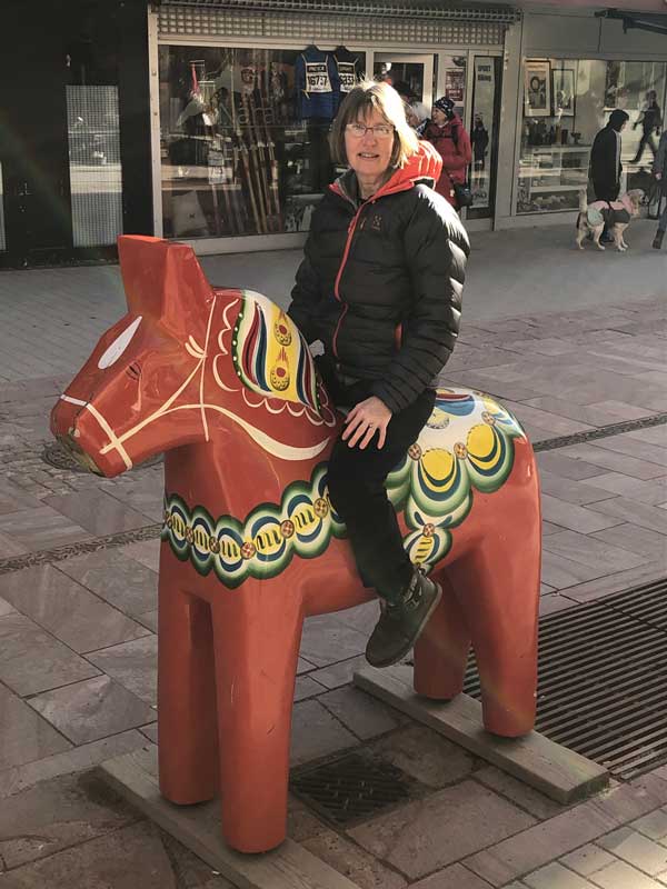 Fun at the Vasaloppet 2020 - wooden horse