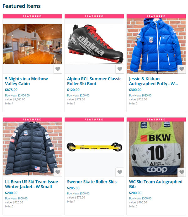 NNF Summer 2021 Auction