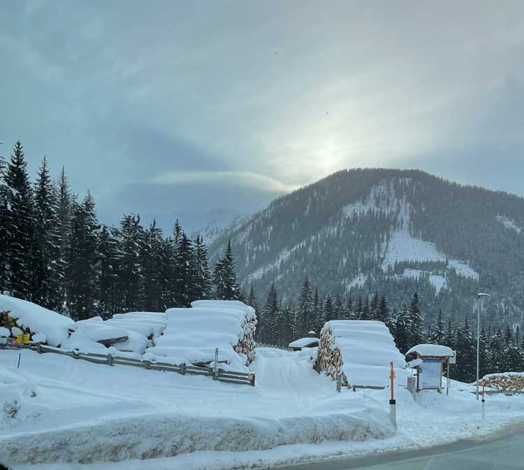 Ski trail between wood piles