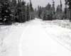 We're Skiing in West Yellowstone!