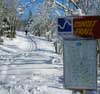 Glorious Snow at ABR
