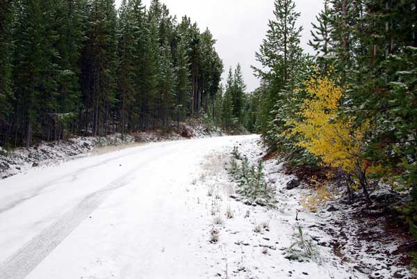 Snow in West Yellowstone