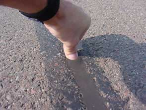 Tar snake