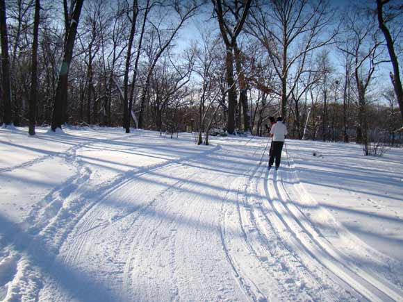 Cross country ski trail at Huron Meadows Metropark