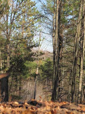 Forbush Corner cross country skiing