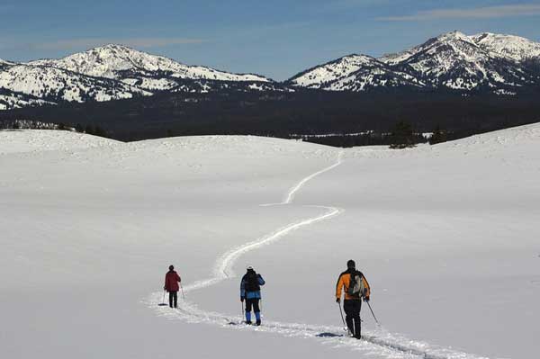 Yellowstone Expeditions
