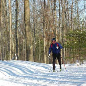 The Ted Tour: 12km tour on Vasa Weekend