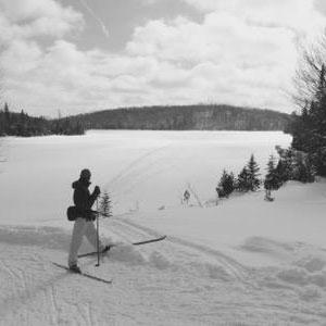 Last year for Wabos Loppet!