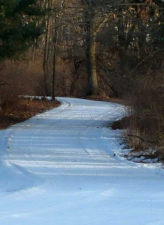 Bucks Run at Huron Meadows Metropark