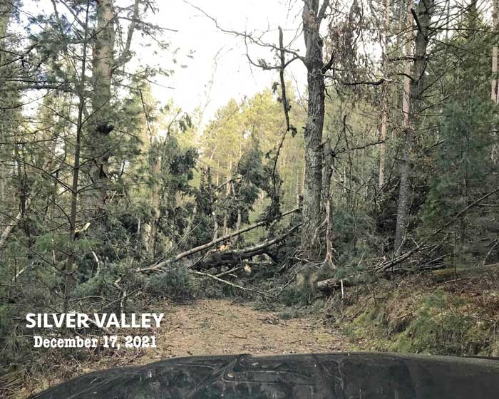 Fallen trees from high winds block the Cosair cross country ski trails