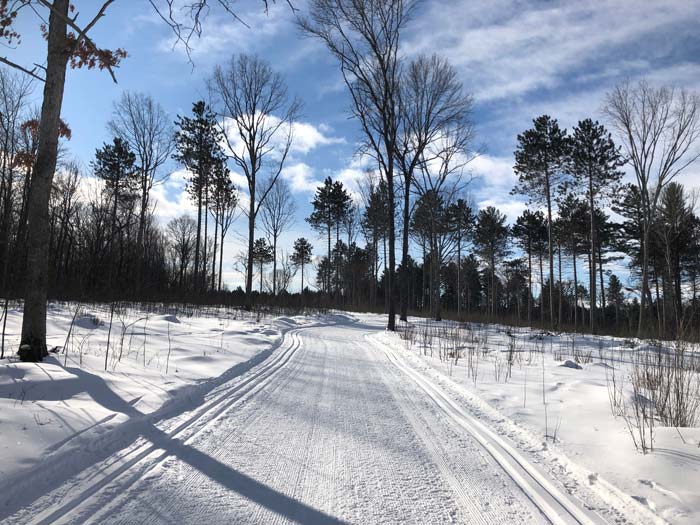 Great XC Ski Conditions