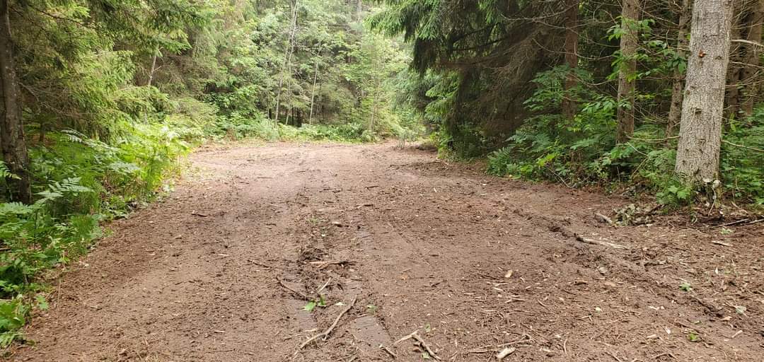 Forbush Corner trail work on the Crybaby cross country ski trail