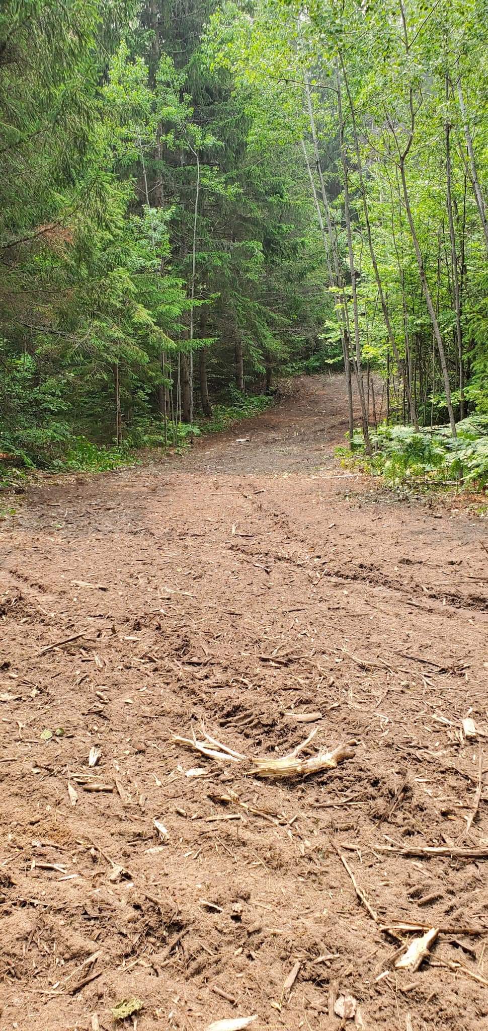 Forbush Corner trail work on the Crybaby cross country ski trail