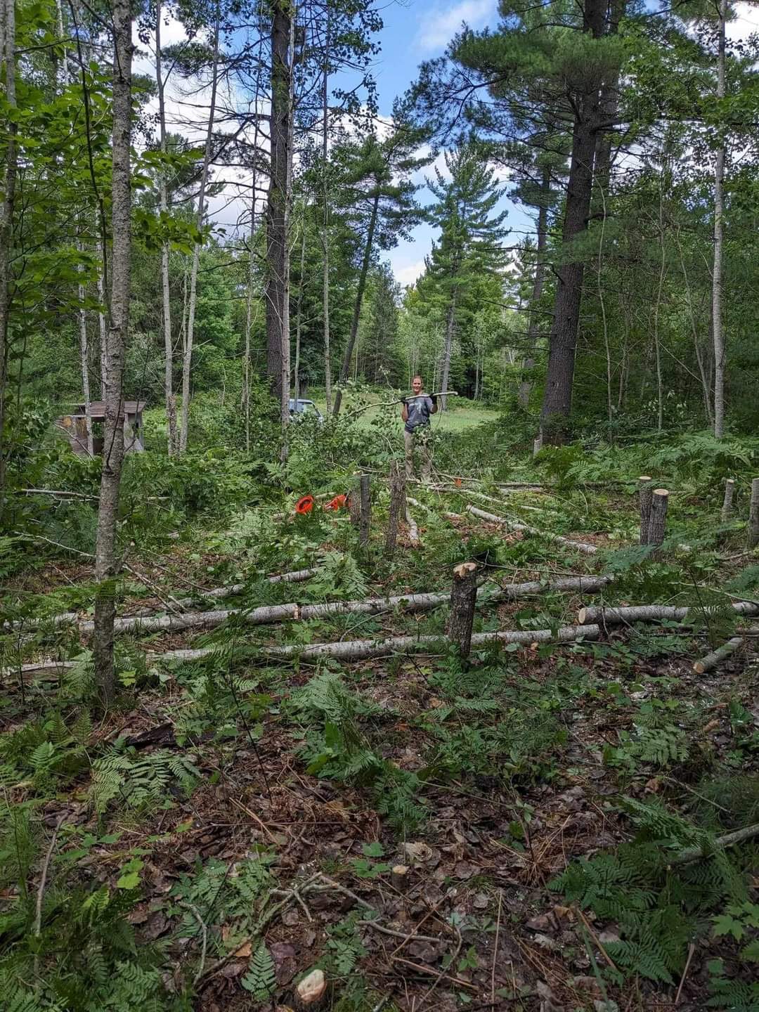 Forbush Corner trail work on the Crybaby cross country ski trail