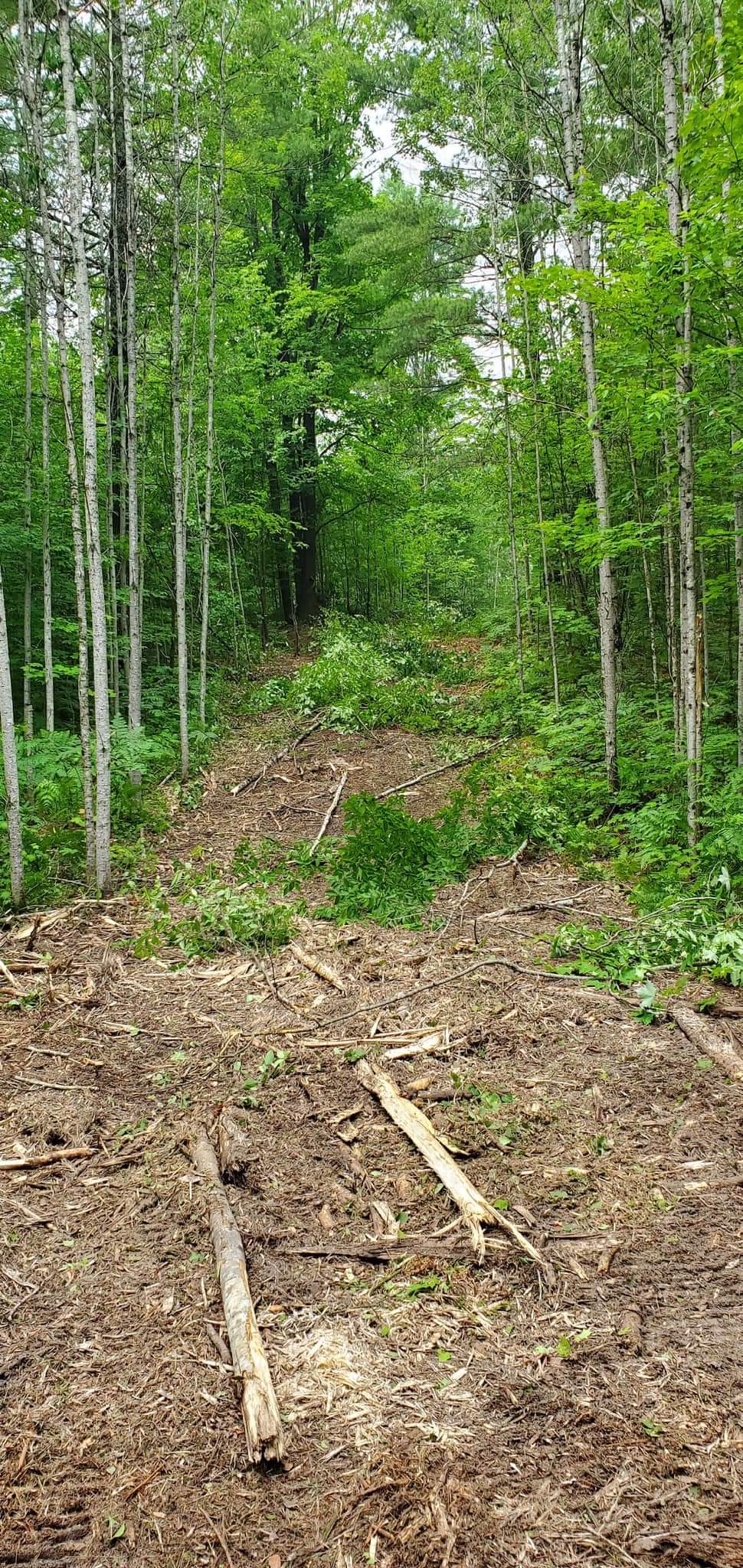 Forbush Corner trail work on the Crybaby cross country ski trail