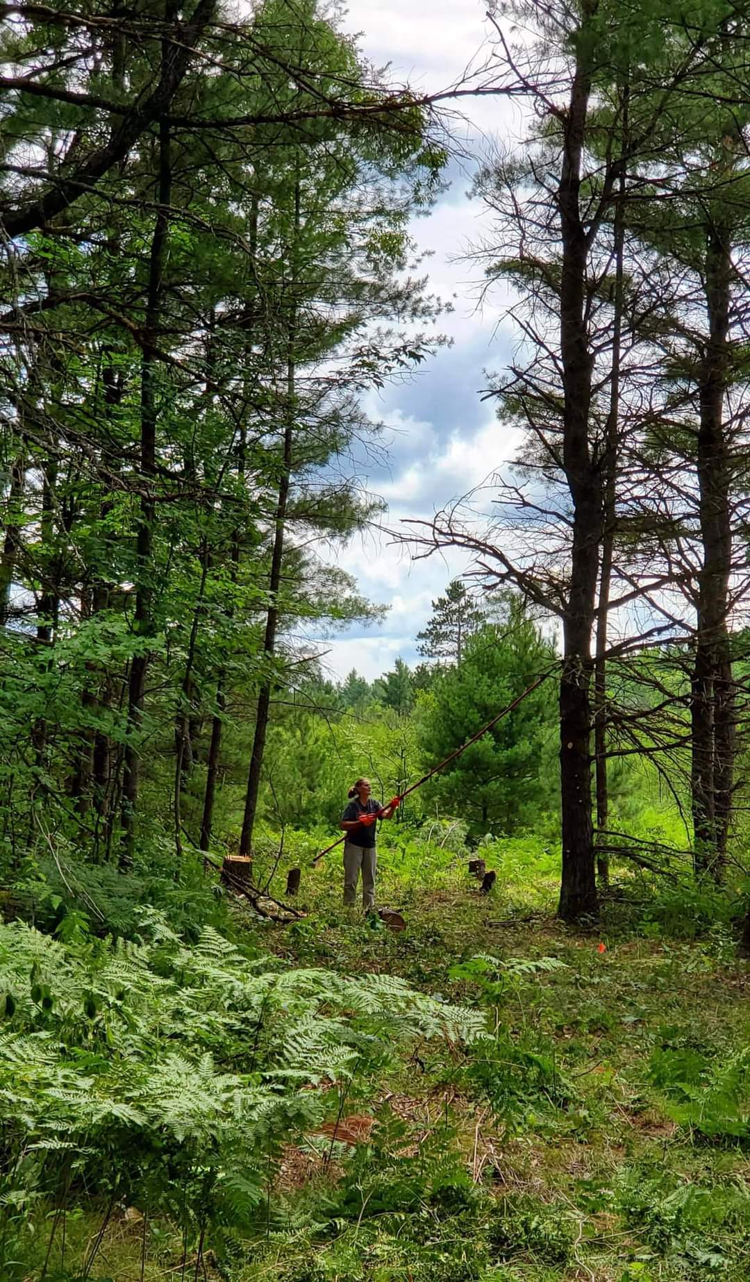 Forbush Corner trail work on the Crybaby cross country ski trail