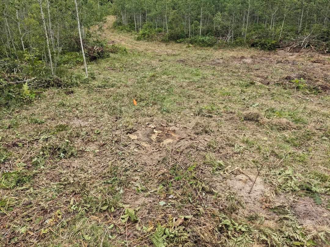 Forbush Corner trail work on the Crybaby cross country ski trail