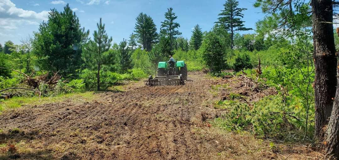 Forbush Corner trail work on the Crybaby cross country ski trail