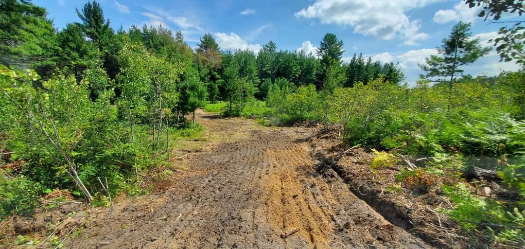 Forbush Corner trail work on the Crybaby cross country ski trail