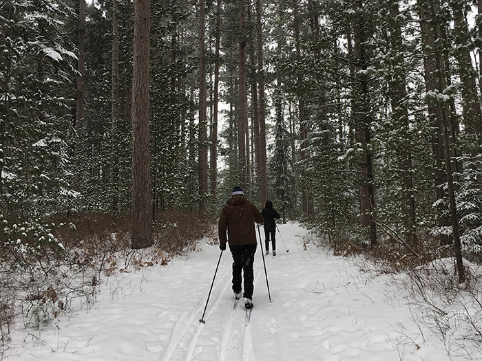 Chippewa Hills Pathway, Mackinaw State Forest