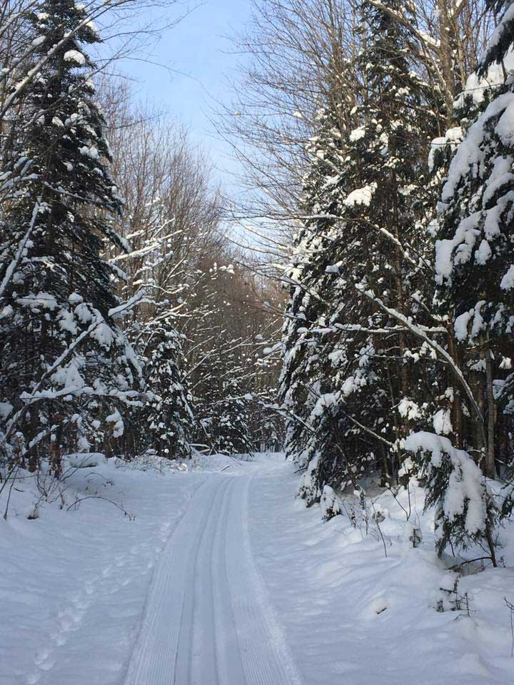 Pine Bowl Pathway