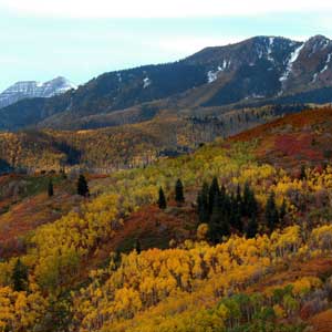 Train in Park City this month!