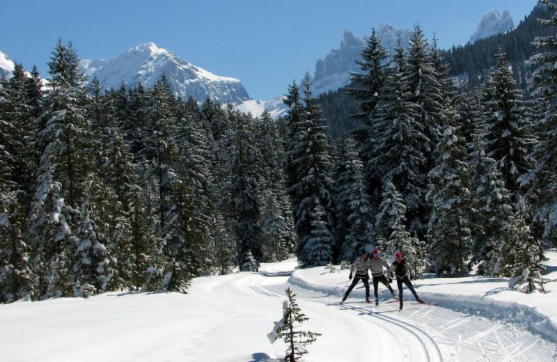 Cross country ski training for master skiers