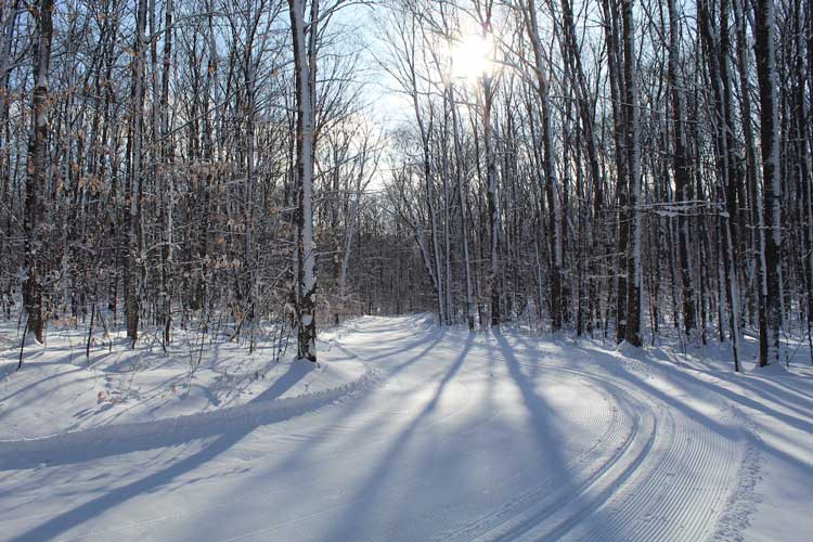 Nubs Nob cross country ski academy